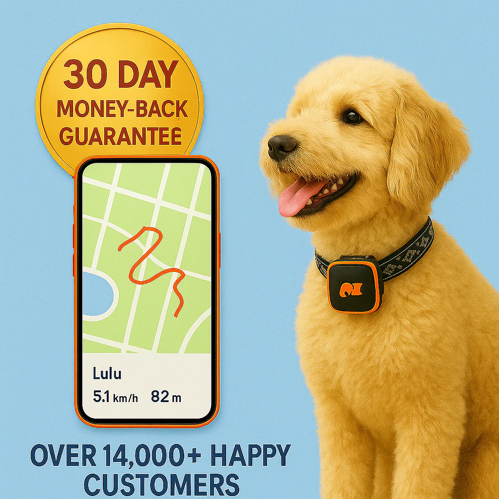 NordPaw Dog GPS - Image 4